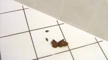 Blows cock and takes a dump in the bathroom
