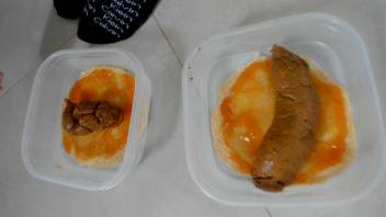 Flapjacks and a heap in LucyBelle's live defecation webcam show